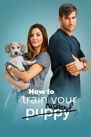 How to Train Your Husband 2018 Hindi Dual Audio 300MB Movie Poster
