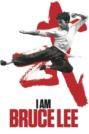 I Am Bruce Lee 2012 300MB Hindi Dual Audio Movie Poster