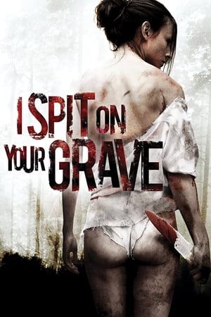 I Spit on Your Grave 2010 Hindi Dual Audio 330MB Movie Poster