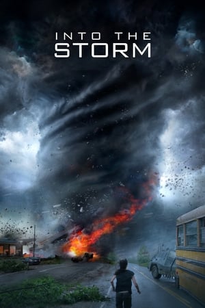 Into the Storm (2014) Hindi Dual Audio [1GB] Movie Poster