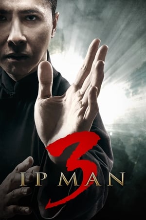 Ip Man 3 (2015) Hindi Dual Audio [900MB] Movie Poster