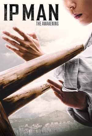 Ip Man: The Awakening (2022) Hindi Dual Audio – Movie Poster