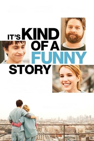 It's Kind of a Funny Story (2010) Hindi Dual Audio [950MB] ESubs Movie Poster