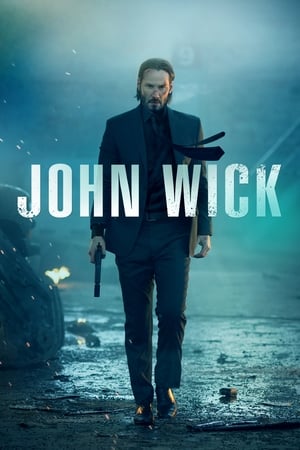 John wick 2014 100mb Hindi Dual Audio movie Download Movie Poster