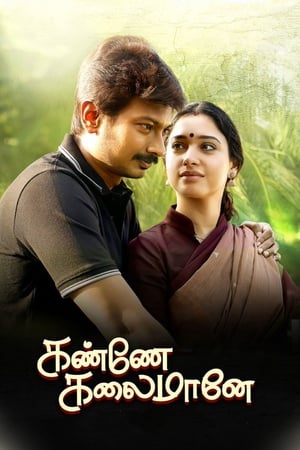 Kanne Kalaimaane 2019 (Hindi -Tamil) Dual Audio [1GB] Movie Poster