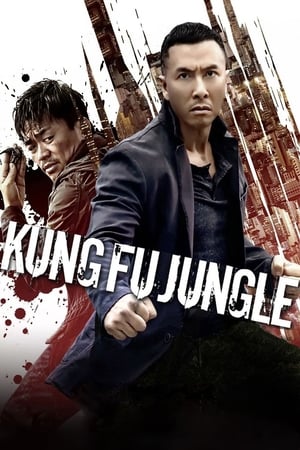 Kung Fu Jungle (2014) Hindi Dual Audio [800MB] Movie Poster