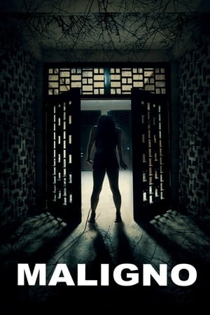 Maligno (2016) Hindi Dual Audio [1.2GB] Movie Poster