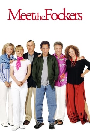 Meet the Fockers 2004 Hindi Dual Audio [1GB] Movie Poster