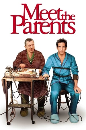 Meet the Parents 2000 Hindi Dual Audio 350MB Movie Poster