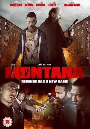 Montana (2014) Hindi Dual Audio 350MB Movie Poster