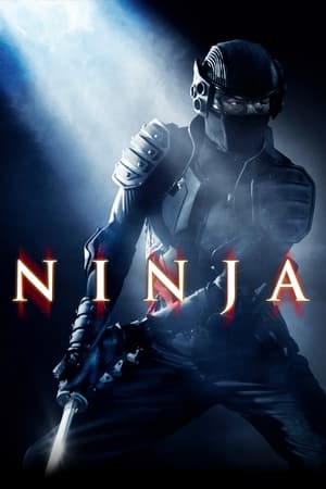 Ninja (2009) Hindi Dual Audio – Movie Poster