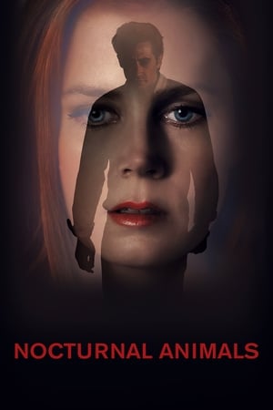 Nocturnal Animals (2016) Hindi Dual Audio [1GB] Movie Poster