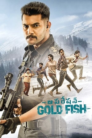 Operation Gold Fish 2019 (Hindi - Telugu) Dual Audio 360MB Movie Poster