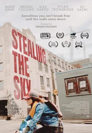 Stealing the Sky 2025 English Audio Movie Poster