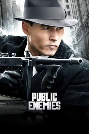 Public Enemies (2009) Hindi Dual Audio 400MB Movie Poster