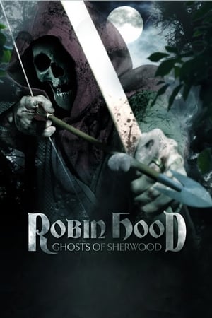 Robin Hood: Ghosts of Sherwood (2012) Hindi Dual Audio [1GB] Movie Poster