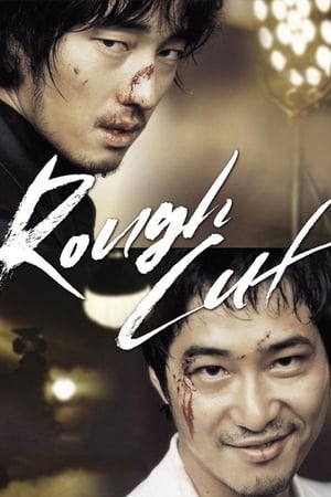 Rough Cut (2008) Hindi Dual Audio 400MB Movie Poster