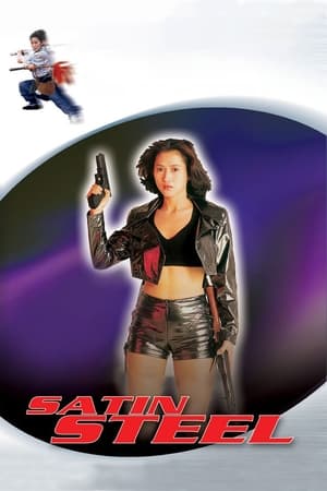 Satin Steel (1994) Hindi Dual Audio 260MB Movie Poster