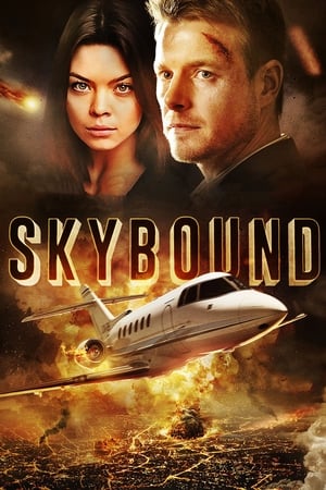 Skybound (2017) Hindi Dual Audio 350MB Movie Poster
