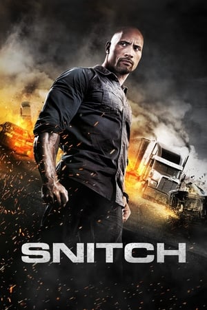 Snitch (2013) Hindi Dual Audio [930MB] Movie Poster