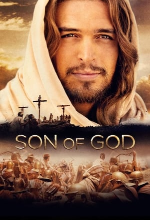 Son of God 2014 Hindi Dual Audio 450MB Movie Poster
