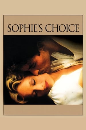 Sophie's Choice (1982) Dual Audio Hindi Full Movie - 1.1GB Movie Poster