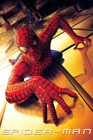 Spider-Man (2002) Hindi Dual Audio 370MB Movie Poster