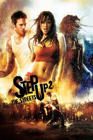 Step Up 2 The Streets 2008 Hindi Dual Audio 300MB Movie Poster