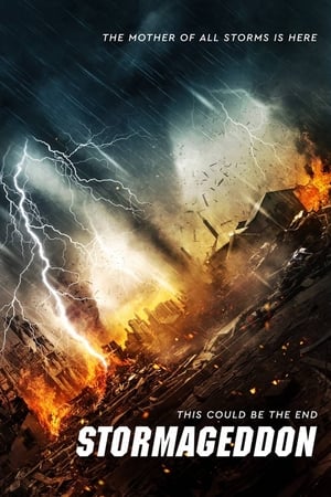 Stormageddon (2015) Hindi Dual Audio [1.1GB] Movie Poster