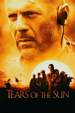 Tears of the Sun 2003 Hindi Dual Audio 360MB Movie Poster