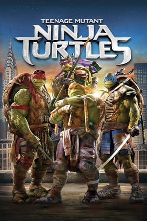 Teenage Mutant Ninja Turtles (2014) Hindi Dual Audio 330MB Movie Poster