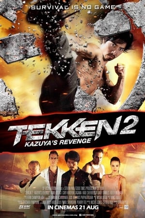 Tekken Kazuyas Revenge 2014 Hindi Dual Audio 300MB Movie Poster