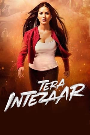 Tera Intezaar 2017 Movie [850MB] Movie Poster