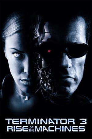 Terminator 3: Rise of the Machines (2003) Hindi Dual Audio 350MB Movie Poster