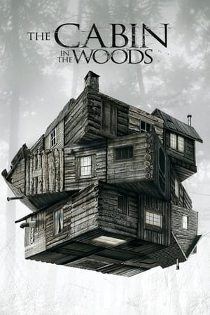 The Cabin in the Woods 2012 Dual Audio Hindi 300MB ESubs Movie Poster