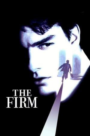 The Firm (1993) Hindi Dual Audio 450MB Movie Poster