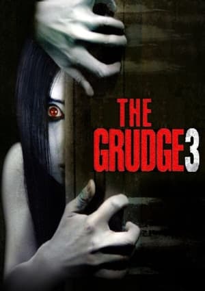 The Grudge 3 2009 Hindi Dual Audio 300MB Movie Poster