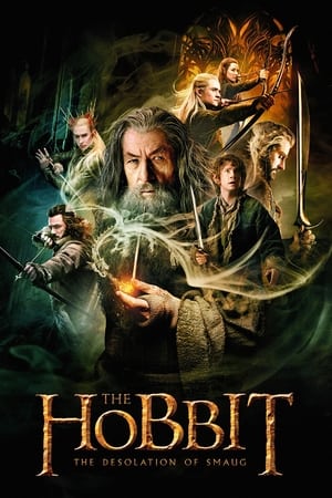 The Hobbit The Desolation of Smaug (2013) Hindi Dual Audio Movie [200MB] Movie Poster