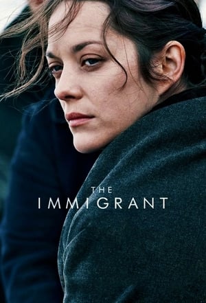 The Immigrant (2013) Hindi Dual Audio 300MB Movie Poster