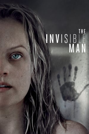 The Invisible Man (2020) Hindi (ORG) Dual Audio [1GB] Movie Poster