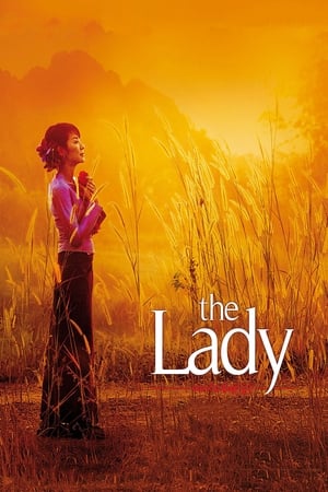 The Lady 2011 Dual Audio Hindi Movie - 920MB Movie Poster