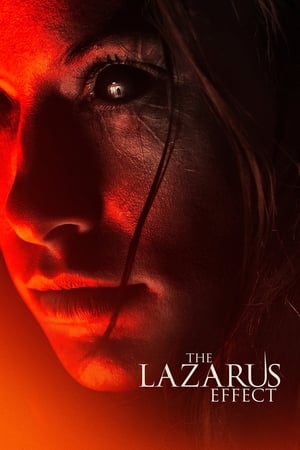 The Lazarus Effect (2015) Hindi Dual Audio 300MB Movie Poster