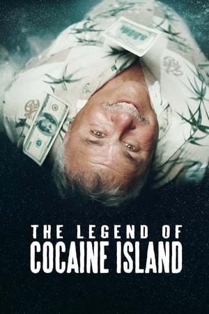 The Legend of Cocaine Island (2019) Hindi Dubbed [860MB] Movie Poster