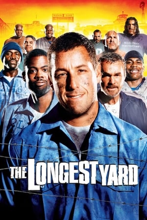 The Longest Yard (2005) Hindi Dual Audio [1.1GB] Movie Poster