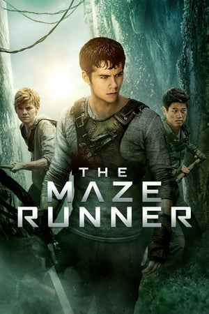 The Maze Runner (2014) Hindi Dual Audio [1.1GB] Movie Poster