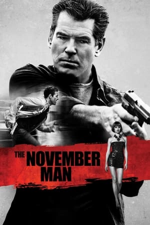 The November Man 2014 Dual Audio [Hindi – English] – 720p – Movie Poster