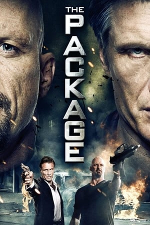 The Package (2013) Hindi Dual Audio 350MB Movie Poster