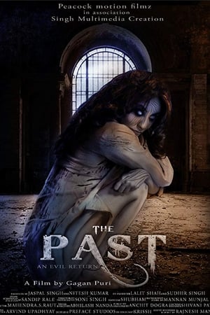 The Past 2018 Hindi Movie - [350MB] Movie Poster