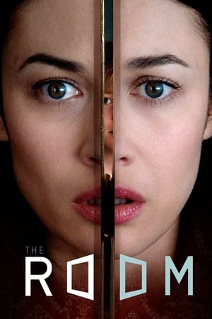 The Room 2019 Hindi Dual Audio 300MB Movie Poster