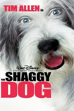 The Shaggy Dog (2006) Hindi Dual Audio [950MB] Movie Poster
